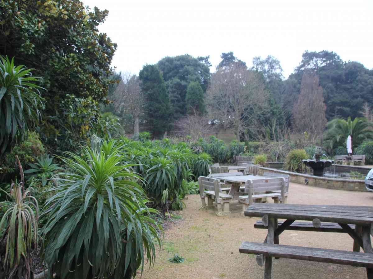 Ventnor Botanic Garden picture gallery
